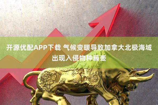 开源优配APP下载 气候变暖导致加拿大北极海域出现入侵物种藤壶