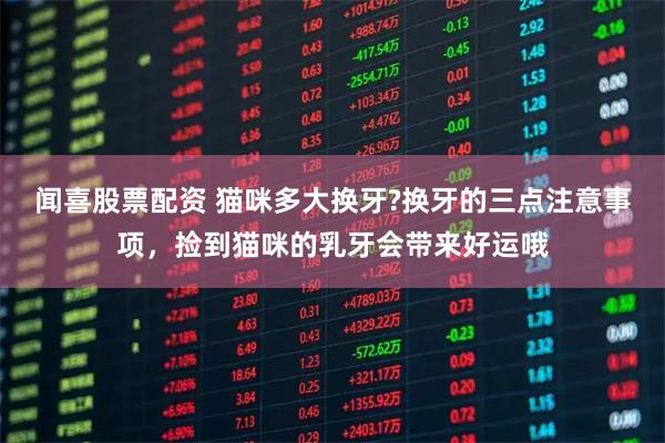 闻喜股票配资 猫咪多大换牙?换牙的三点注意事项，捡到猫咪的乳牙会带来好运哦