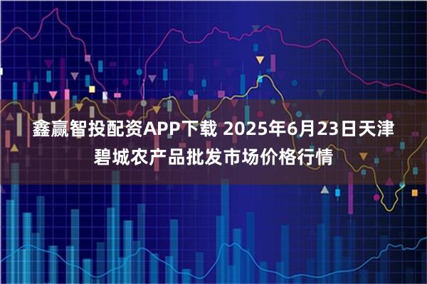 鑫赢智投配资APP下载 2025年6月23日天津碧城农产品批发市场价格行情